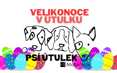 Velikonoční pátek v útulku